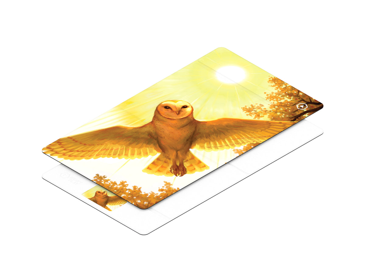 Heavy Play ETB Playmat Art Master Chris Deschamps Bird