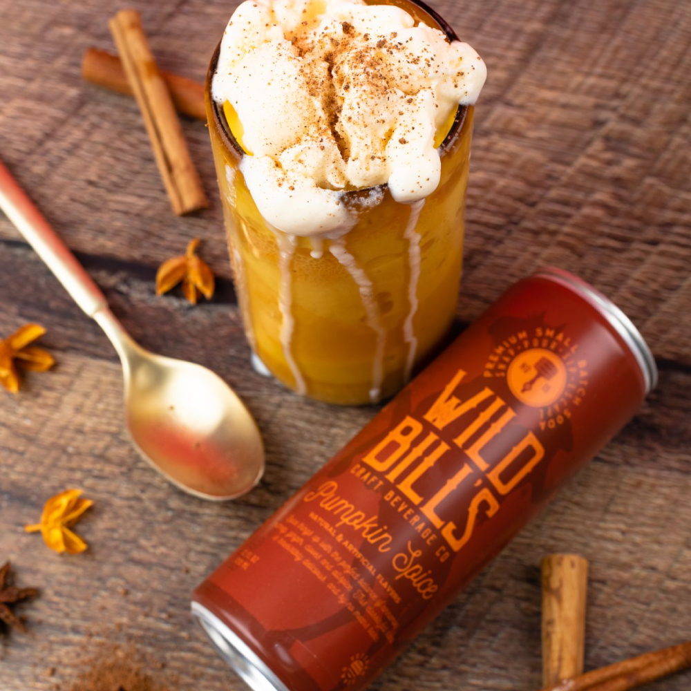 Pumpkin Spice - Premium Cane Sugar Soda, 12-Pack, Cans