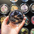 Solo Leveling- Paper Cut Magnet